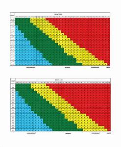 Free 19 Sample Bmi Index Chart Templates In Pdf Ms Word Excel