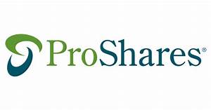 Scholtz Company Llc Buys 128 369 Shares Of Proshares Short S P500