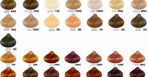 Wella Color Charm Toner Chart Media Wella Color Charm Pdf