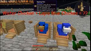 Sky Factory 3 Ep 39 Advanced Chicken Youtube