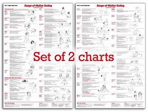 Manual Muscle Testing Chart Printable Slideshare