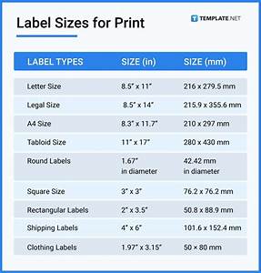 Label Size Dimension Inches Mm Cms Pixel