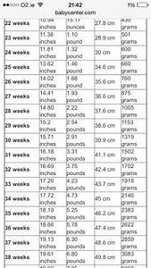 Baby Weight During 34 Weeks Babycenter