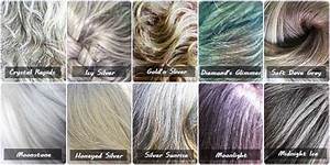 Grey Hair Colour Chart Hair Color Chart Silver Hair Color The Best