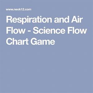 Respiration And Air Flow Science Flow Chart Game Science Games For