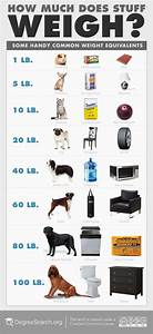 How Much Does Stuff Weigh A Comparison Of What Your Weight Loss