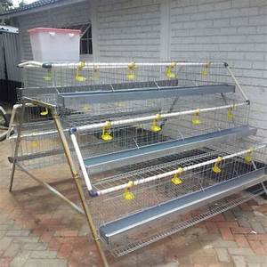 Chicken Coop Build Chicken Layers Cages For Sale In Zambia