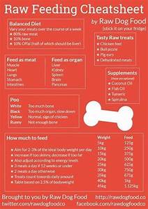 Download Your Free Raw Feeding Cheatsheet Perfect For Beginners And