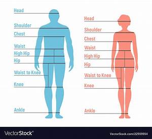 Woman And Girl Size Chart Human Front Side Vector Image