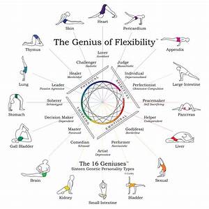 The Genius Of Flexibility Training Archive Personality Types