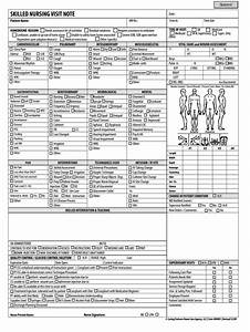 Skilled Nursing Documentation Templates Form Fill Out And Sign