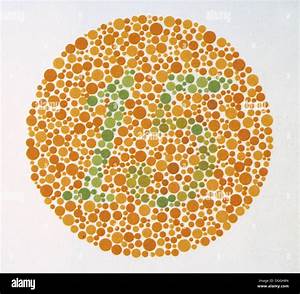 The Ishihara Color Test Color Perception Test For Red Green Color