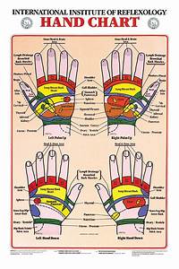 Hand Reflexology Chart Charts Hand Chart 17 X 21