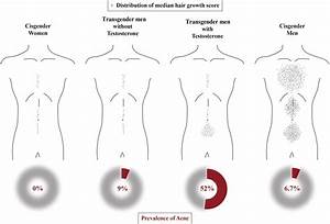 Effect Of Testosterone On Chests And Abdomens Of Transgender Men