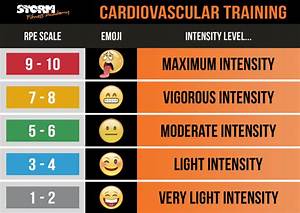 What Is Vigorous Intensity Activity Storm Fitness Academy