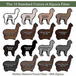 New Downloadable Content The 16 Standard Colors Of Alpaca Fiber