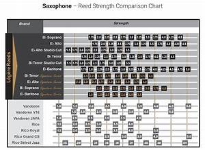 Saxophone Insights Reeds