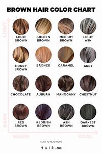 The Ultimate Brown Hair Color Chart Hair Com By L 39 Oréal Hair