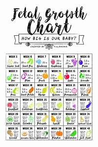 How Big Is My Baby Free Printable This Is A Fetal Growth Chart That
