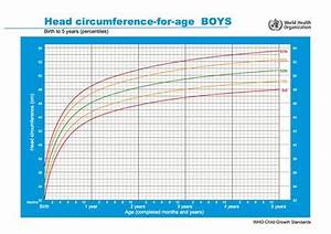 Head Circumference Percentile Calculator