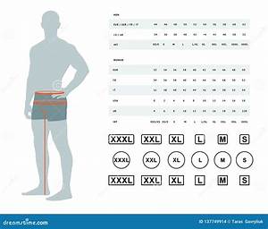  Body Measurement Chart