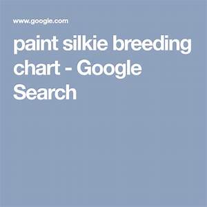 Paint Silkie Chart Google Search Silkies Chart Google Search
