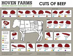 Cuts Of Beef Chart 18 Quot X28 Quot 45cm 70cm Poster