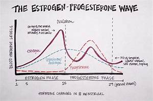 how to optimize female hormones for weight loss with 3 simple tips