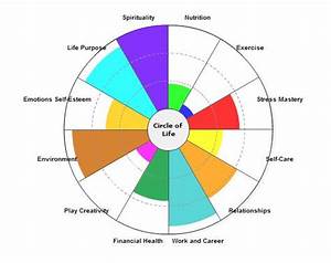 Circle Of Life Circle Of Life Emotions Financial Health