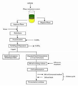 Ethanol Production Purification And Analysis Techniques A Review My