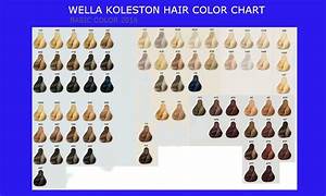 Click To Close Or Click And Hold For Moving Picture Hair Color Chart