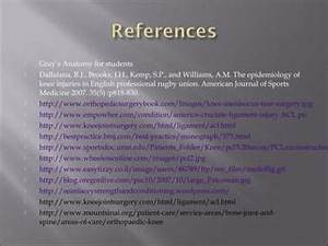 The Common Knee Injuries Experience By Professional Sportsmen Ppt
