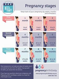 Stages Of Pregnancy Pregnancy Birth And Baby Pregnancy Ideas