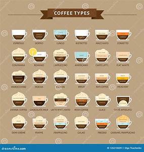 Types Of Coffee Vector Illustration Infographic Of Coffee Types Stock
