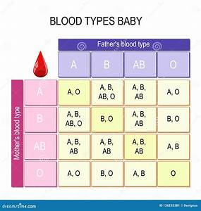 Blood Group Inheritance Chart Best Image Home