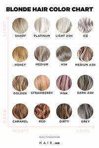 From Ash To Strawberry The Ultimate Hair Color Chart 