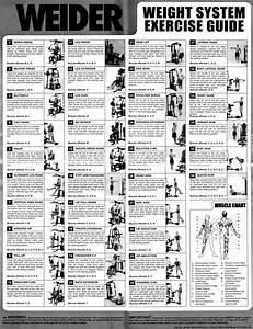 1000 Images About Multi Gym On Pinterest Exercise Home Gym