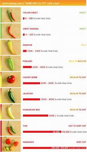 How Is It Startcooking Com S Chili Chart Gt Start Cooking