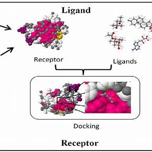 the computer aided drug discovery process download scientific diagram