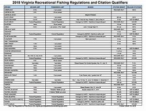 Virginia Saltwater Sportfishing Association