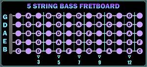 5 String Bass Fret Chart My Girl