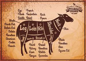 All About Lamb Cuts Recipes Preparation Red Meat Lover