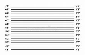 height chart blank mugshot height chart vectors 82