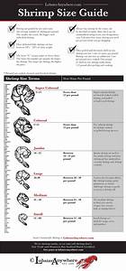 Shrimp Size Buying Guide Small Medium Large And Beyond