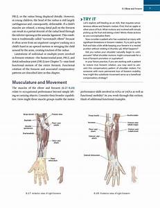Shop Functional Anatomy For Occupational Therapy