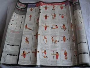 Bullworker X5 Isometric Exercise Trainer W Wall Chart Ebay