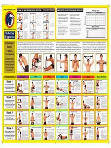 Bullworker Wallchart 2006 Question Integrity