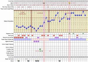 21 Best Basal Body Temperature Chart