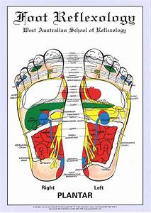Free Reflexology Foot Chart Lovely Printable Foot Reflexology Charts