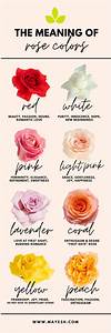 the meaning of rose colors